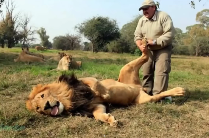 Photo fail lion massage 1