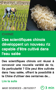 Science des scientifiques chinois developpent un nouveau riz capable d etre cultive dans l eau salee