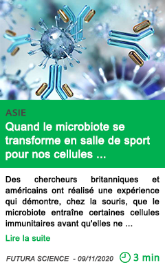 Science quand le microbiote se transforme en salle de sport pour nos cellules immunitaires