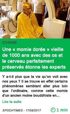 Science une momie doree vieille de 1000 ans avec des os et le cerveau parfaitement preserves etonne les experts