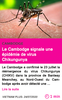 Societe le cambodge signale une epidemie de virus chikungunya